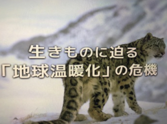 生きものに迫る「地球温暖化」の危機