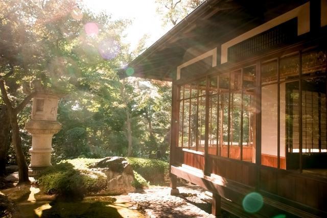 Yahoo / オルタナ 連載記事<br>都市に森をつくる、日本が先導する「木造都市革命」